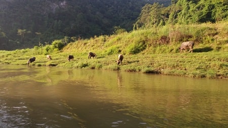 Unveil the hidden gems of Bac Son valley & Ba Be Lake -  3 days